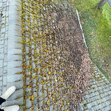 Moss-Removal-Roof-Wash-in-Pullman 2